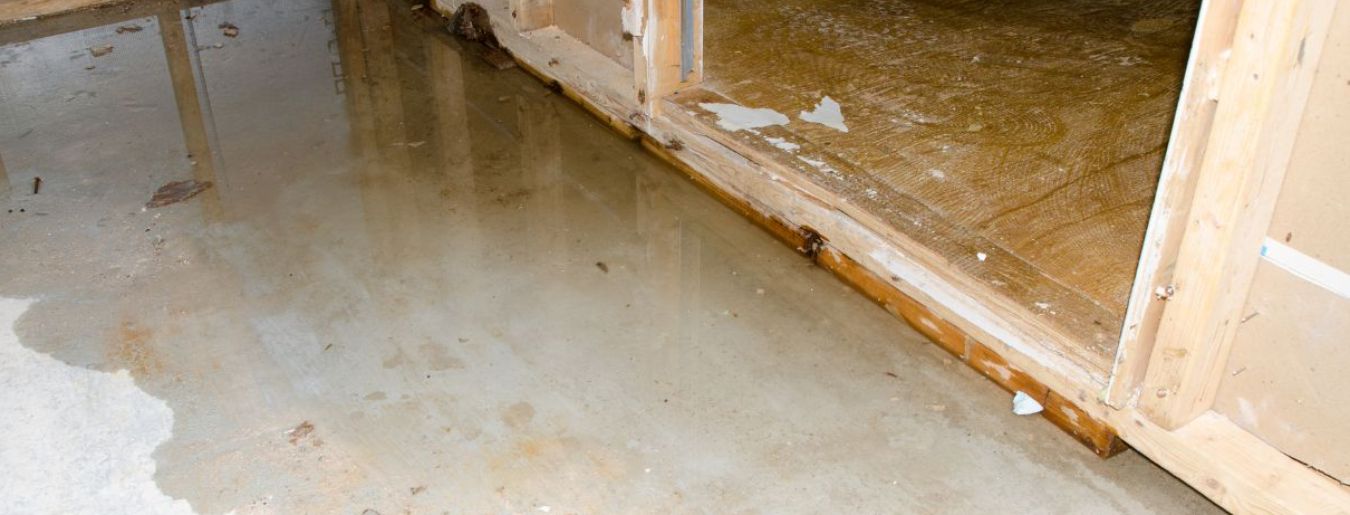 Top 5 Home Warranty Companies for Water Damage