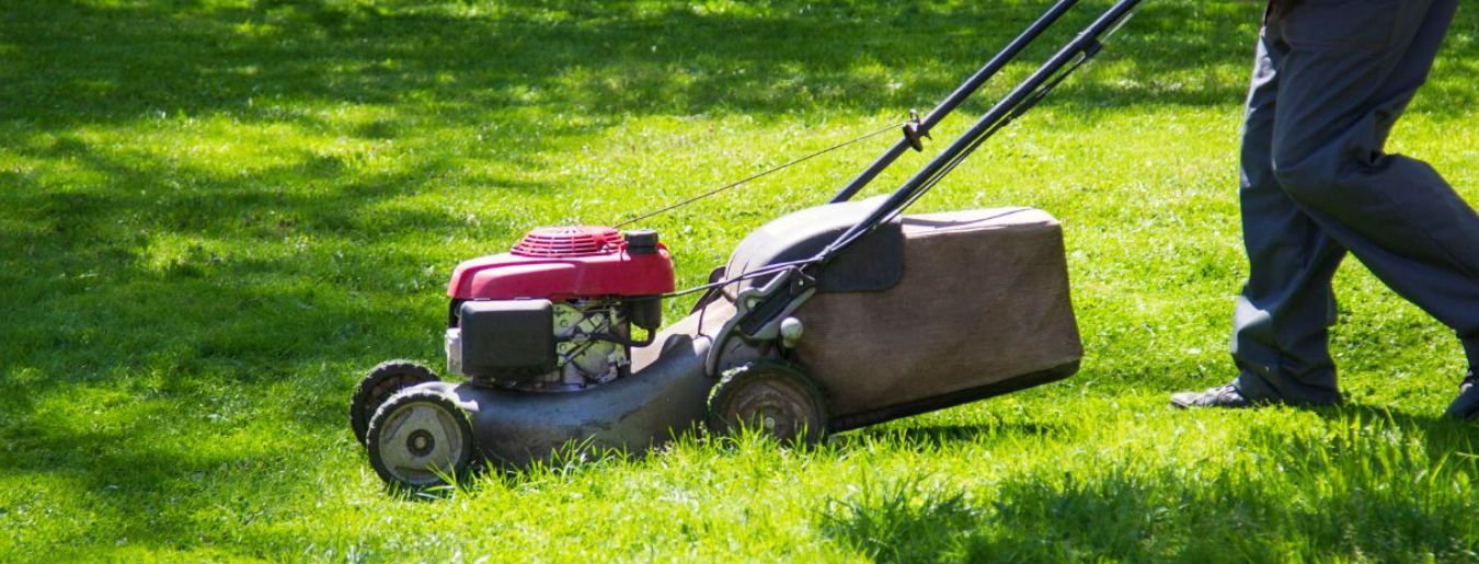 Best 10 Lawn Care Service for Weeds