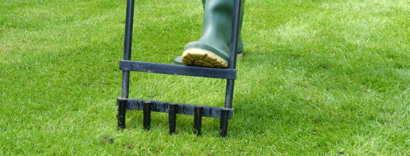 Things to Know About When and How to Aerate the Lawn
