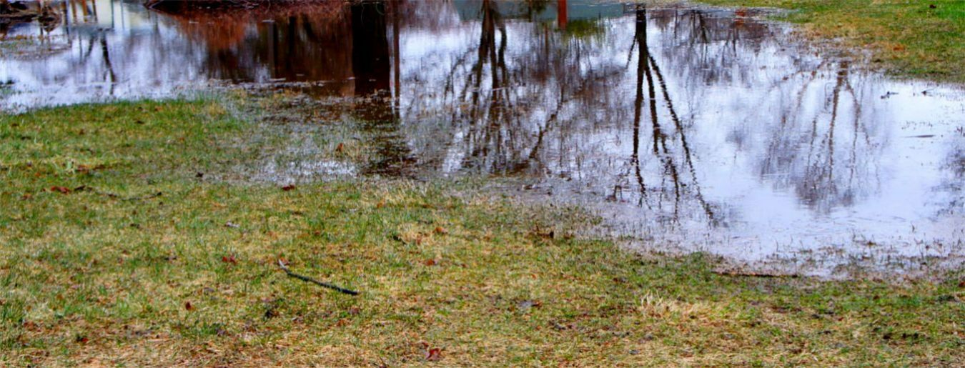 Apply These 5 Secret Techniques to Improve Standing Water in the Yard
